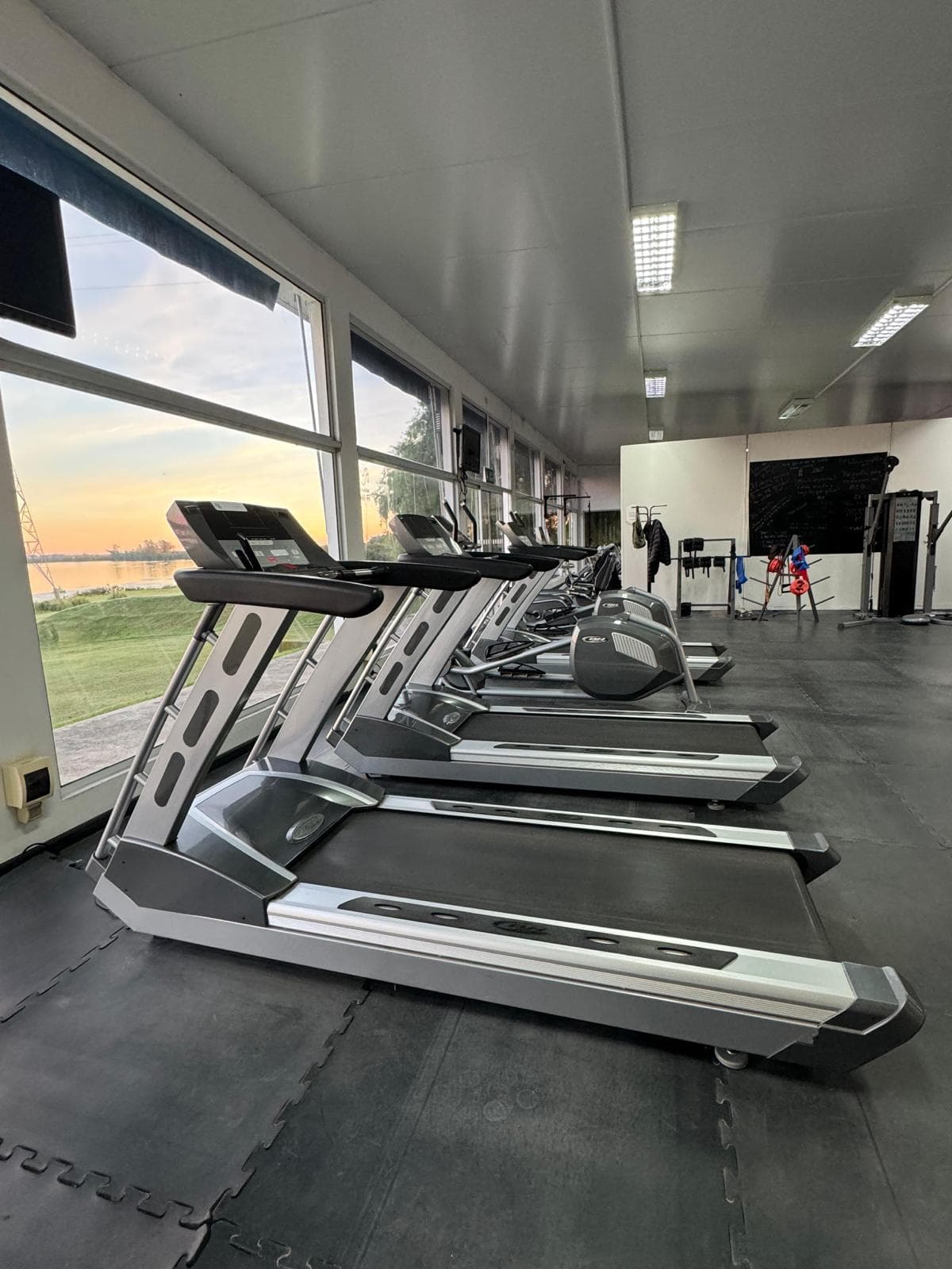 Gimnasio