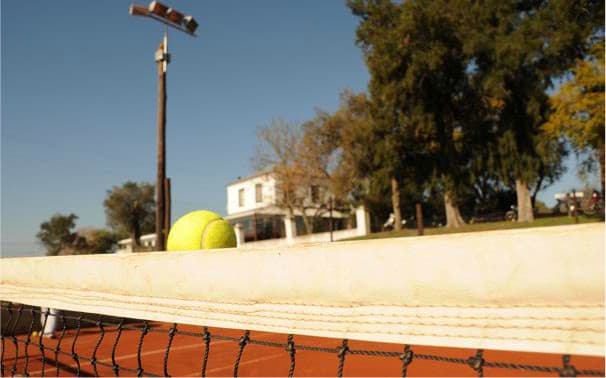 Tenis